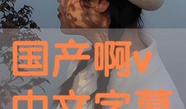 国产精品中文字幕在线观看