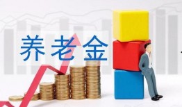 国产毛片久久久久久国产毛片,历史与现状的交织