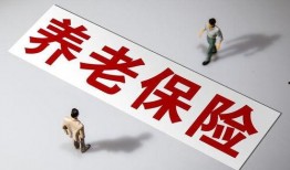 国产毛片久久久久久国产毛片,历史与现状的交织