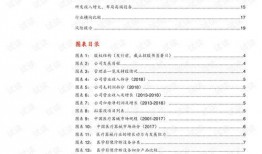 国产二十页,深度解析中国电影产业新趋势